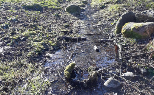 14. Verknės ištakos1.jpg